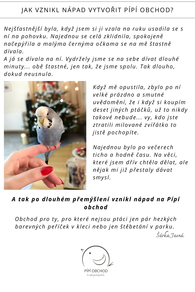 BLOG o Pípí obchodu(2)